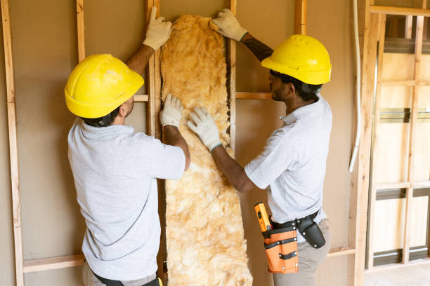 Types of Insulation We Offer in Franklin, TX